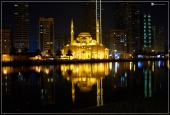 IIP Online Student Photography